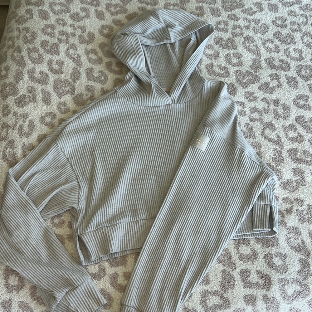 ALO CROPPED HOODIE